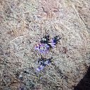 ���� ������, �������, 60 ��� - ��������� 22 ������� 2023 � ������ ���� ����������