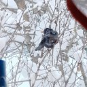���� ������, ������� �����, 70 ��� - ��������� 9 ������ 2025 � ������ ���� ����������