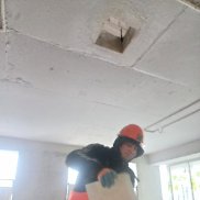 �����, 33 ����, ������