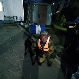 �������, ������, 40 ���