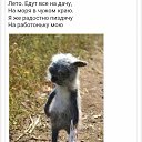 ���� ���������, ������, 51 ��� - ��������� 31 ������ 2026 � ������ ������ ��������