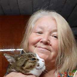 ���� ����, ������, 68 ��� - ��������� 18 ��� 2025