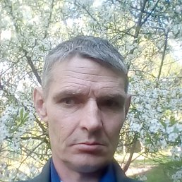 ���� ������, ������, 52 ���� - ��������� 24 ������� 2023