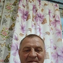 , 53 , 