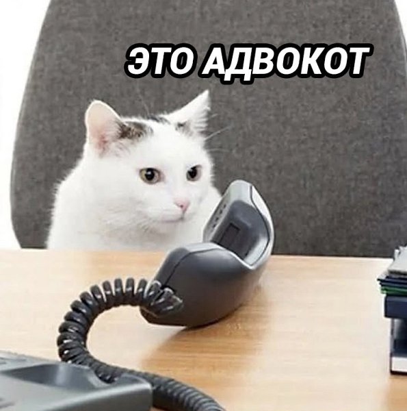     ! - 2
