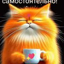 ���� ������, �������, 38 ��� - ��������� 15 ������� 2025 � ������ ���� ����������