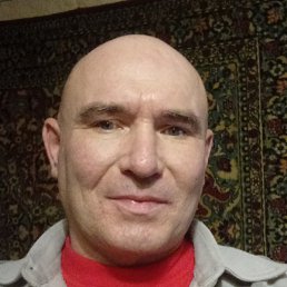 �����, ������, 49 ���