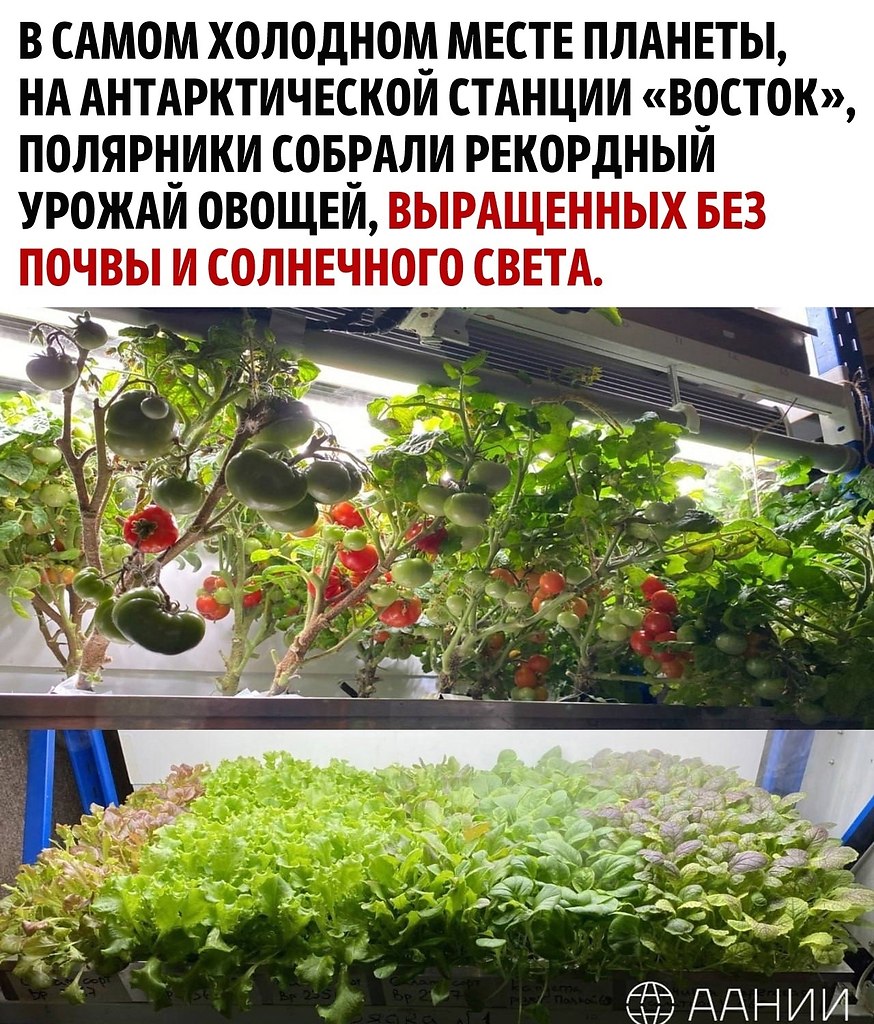     - 2