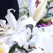 �������, 41 ���, ��������