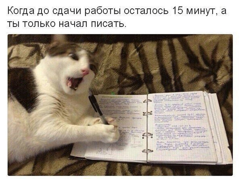 ? ,  ! - 6  2025  08:31