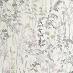 �����, ������, 48 ���