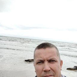 , 41, -