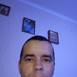 , 38, 