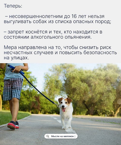 Хозяевам придётся внимательнее относиться к тому, кто берёт на себя поводок: теперь ответственность ... - 2
