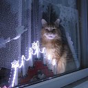 ���� �������, ������, 66 ��� - ��������� 27 ������� 2024 � ������ ������ ��������