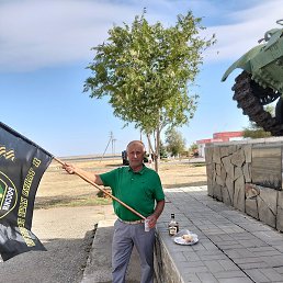 ��������, �������, 66 ���