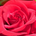 ���� ����, ����� - ��������� 3 ��� 2025 � ������ ���� ����������