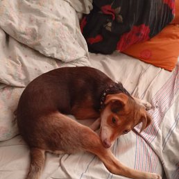 ���� Yurtyn, �������, 42 ���� - ��������� 29 ����� 2024