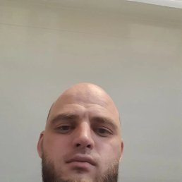 , 33, 