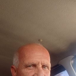 , 54, 
