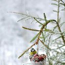 ���� ������, �����, 54 ���� - ��������� 25 ������� 2023 � ������ ������ ��������