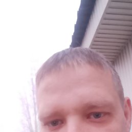 , 41, 
