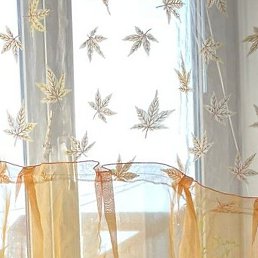 �������, ������ ��������, 51 ���