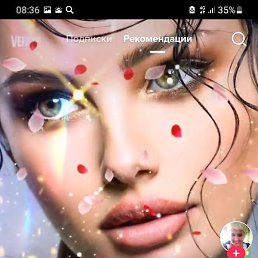 �������, ���������, 56 ���