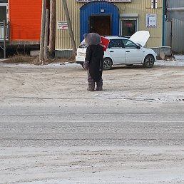 ����������, �����������, 50 ���