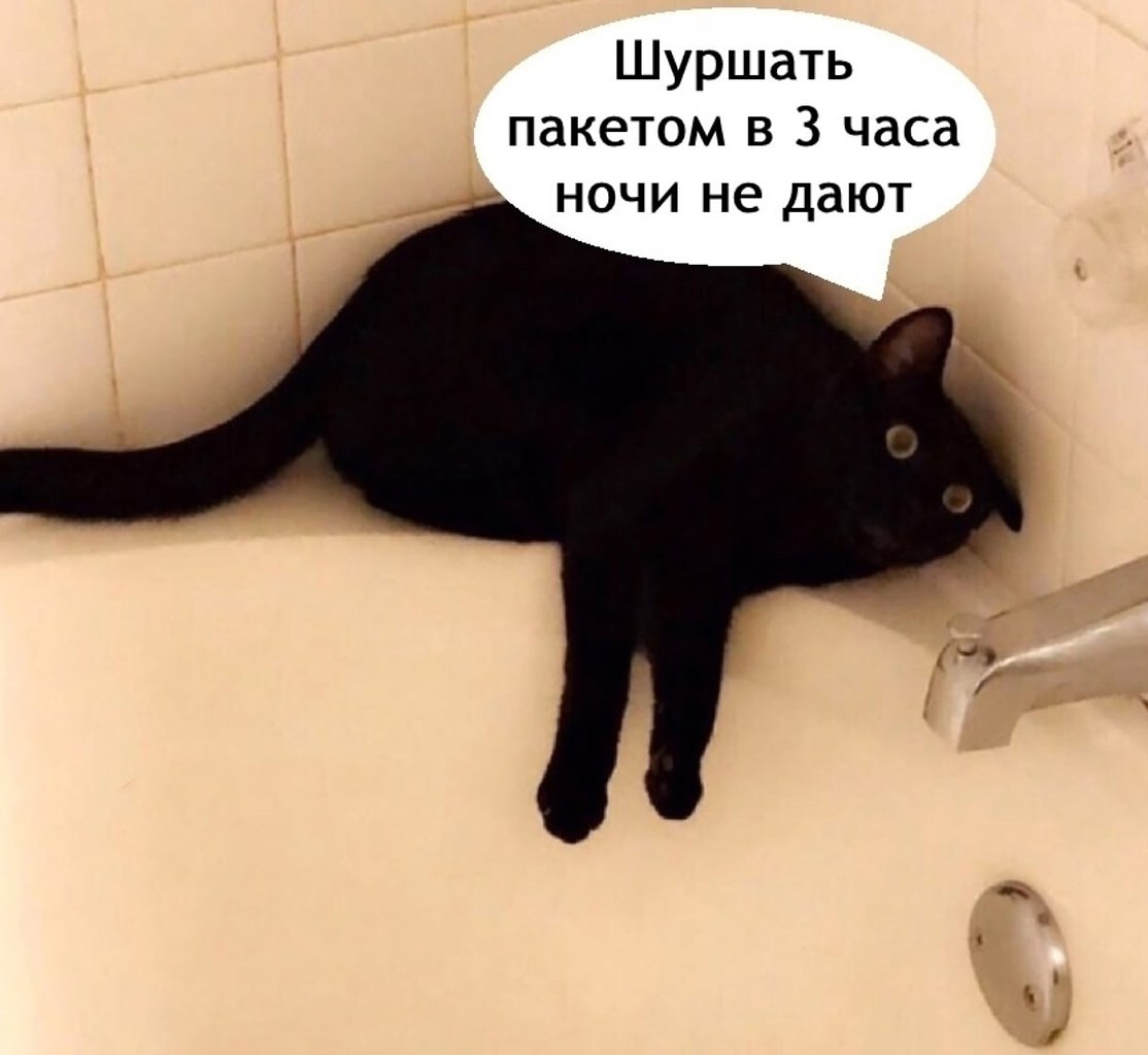 ���� - 18 �������� 2025 � 11:16 - 4