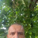 ���� ����, �����������, 37 ��� - ��������� 13 ���� 2024 � ������ ������ ��������