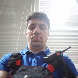 ����, 37 ���, ����� �������