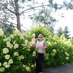 , 49, 