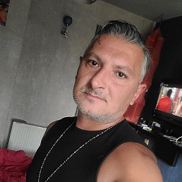 ������, �������, 48 ���