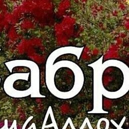 ����, �����, 66 ���