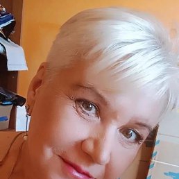 ���� �����, ������, 52 ���� - ��������� 14 ������ 2026