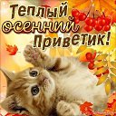 ���� �����, ������ - ��������� 31 ������� 2026 � ������ ������ ��������