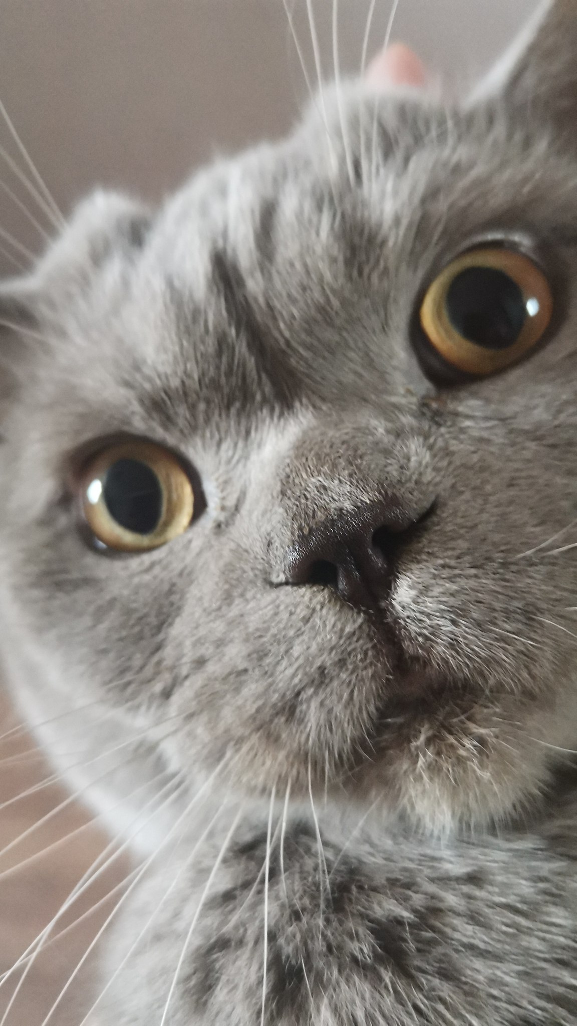 Alex Du - 16  2025  10:28