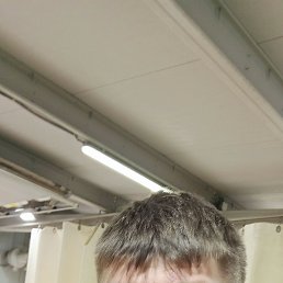 , 37, 