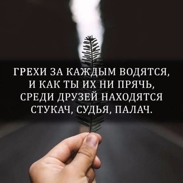 �������� �������� - 17 ������ 2025 � 19:18