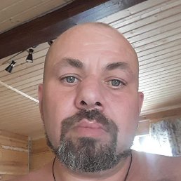 �����, ������, 46 ���