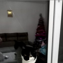���� ������, ����, 48 ��� - ��������� 2 ������ 2024