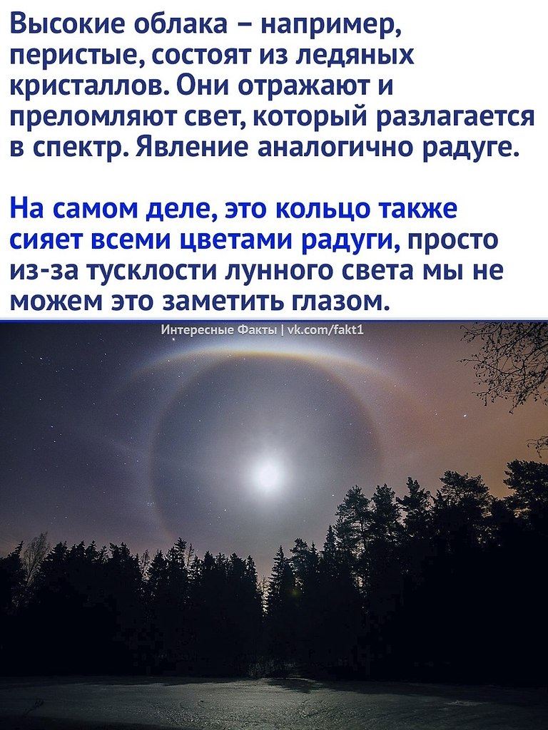  - 25  2023  11:56 - 2