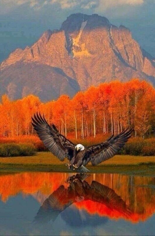 ��� ����� � ���� �����������. ��� �� ����� � ���� �������.