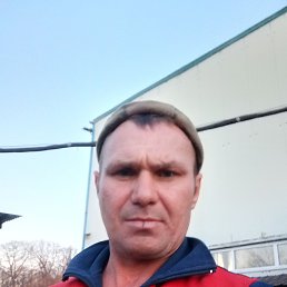 ������, 38 ���, �����������