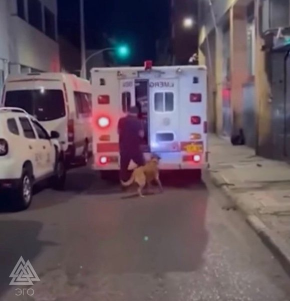 ����� ������ �� ������, � ������� ����� � �������.�������� �������� ��� � ��������� �� � �����! - 2