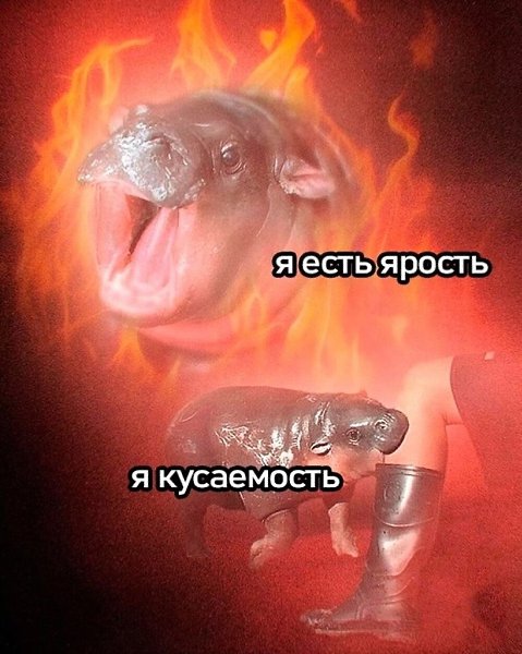 ���� - 27 �������� 2025 � 09:20 - 4