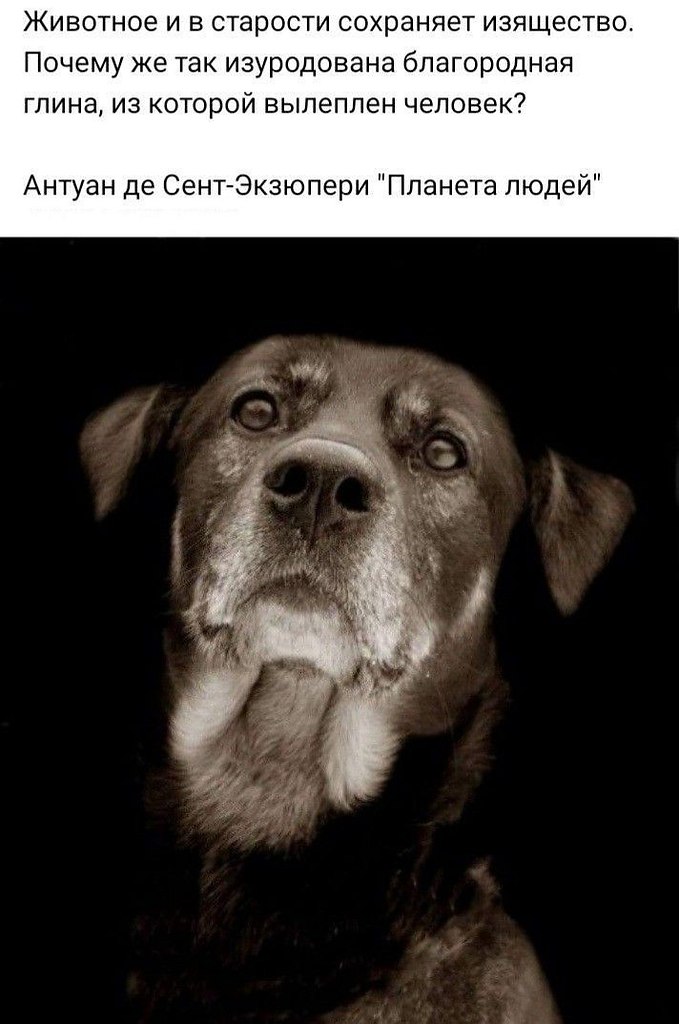 �� ����� ������! - 9 ���� 2026 � 06:20