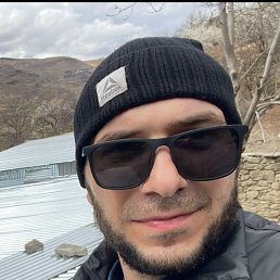 , 29, 