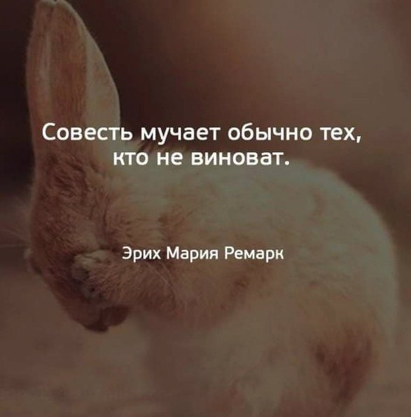   - 29  2025  13:39